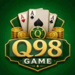 Q98 Game